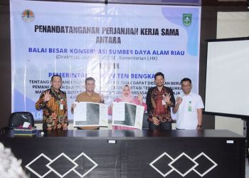 Bupati Bengkalis Kasmarni Tandatangani Kerjasama Dengan Kepala BKSDA Riau. ( Foto : Diskominfotik)