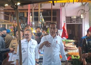 Presiden Joko Widodo cek harga bahan pokok di Pasar Natar, Lampung Selatan.( Foto : Diskominfo Lampung Selatan)