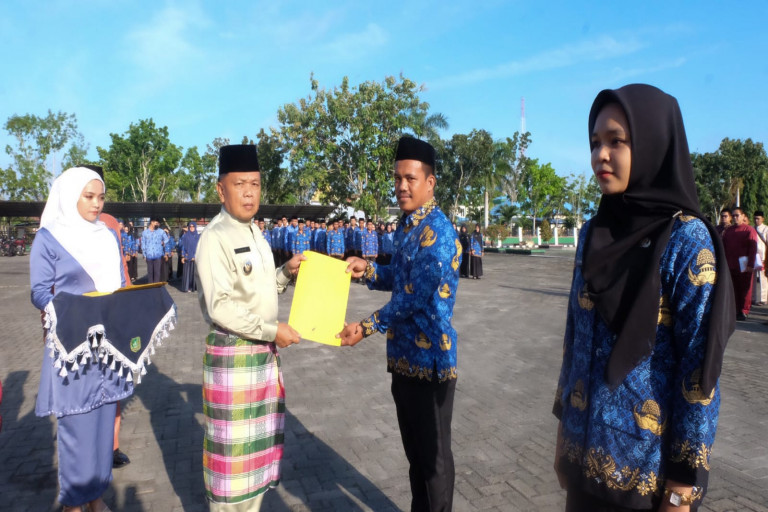meranti