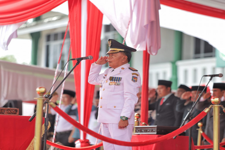 meranti