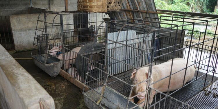 BABI-1