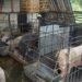 BABI-1