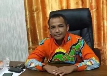 Anggota Komisi Pemilihan Umum Lampung Timur Wanahari. (Foto/Nova).