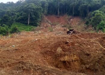 Longsor Bukit selasih, Ujung Gunuang Sungai Sariak. (Foto/Agustin).