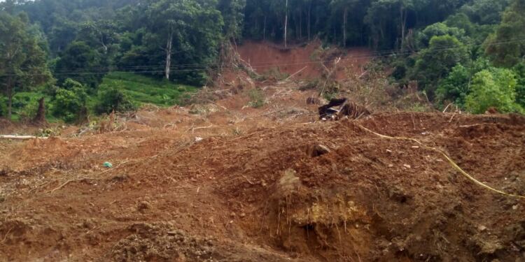 Longsor Bukit selasih, Ujung Gunuang Sungai Sariak. (Foto/Agustin).