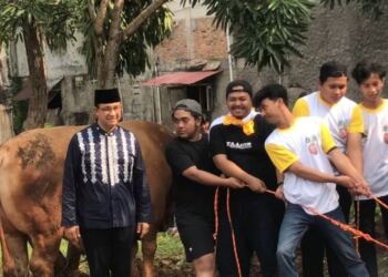 Anies Sembelih Sendiri Sapi Miliknya Seberat 1 Ton Untuk Berkorban. (Foto/Dokumentasi).