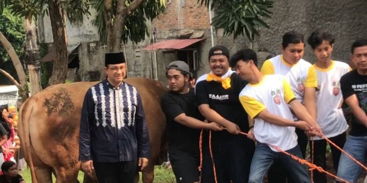 Anies Sembelih Sendiri Sapi Miliknya Seberat 1 Ton Untuk Berkorban. (Foto/Dokumentasi).