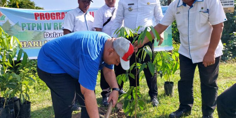 Abdi Henri Sinaga selaku Manager PTPN lV Regional II Kebun Tinjowan. (Foto/Sabungan).