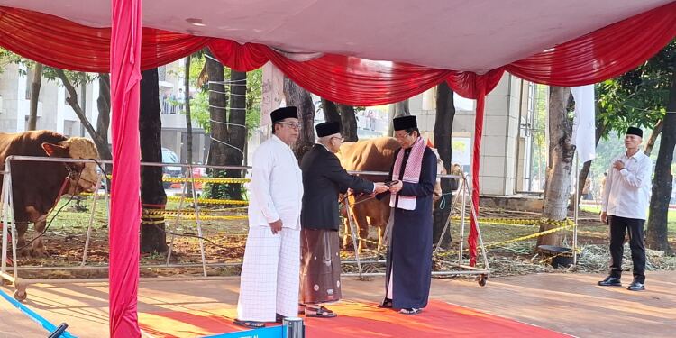 Wapres) Ma'ruf Amin menyerahkan sapi kurban dari Presiden Joko Widodo. (Foto/Dokumentasi).