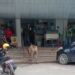 Sapi mengamuk di Kopitiam Pasir Putih Batam Center (foto/net)