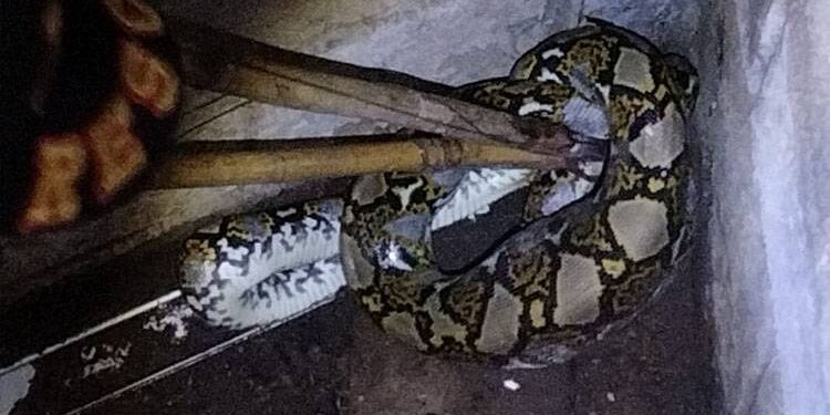 Ilustrasi. (foto/net)