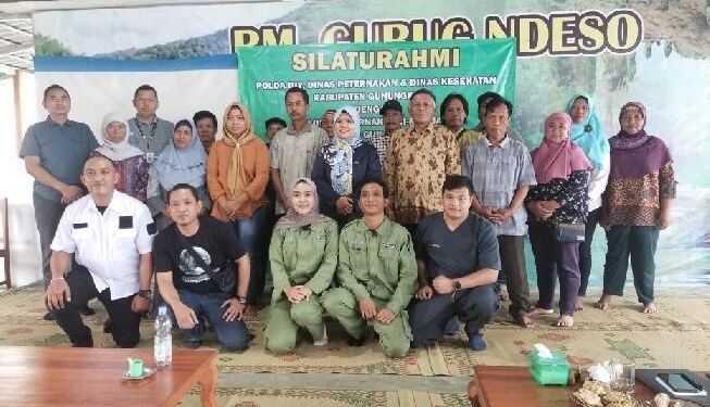 Peternak Sapi Pali-Pali Jaya Ponjong Berkomitmen Menjaga Kesehatan Hewan(Foto/Dokumentasi).