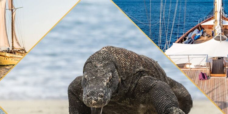 Komodo Luxury(foto/net)
