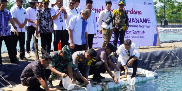 Pj Bupati Langkat, H.M. Faisal Hasrimy, AP., M.AP, meresmikan Klaster Budidaya Udang Vaname Intensif di Dusun Pasar Rawa, Kecamatan Gebang, Kabupaten Langkat, pada Kamis (18/7/24). (Foto/Kominfo Kab. Langkat)