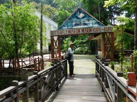 Museum Kupu-kupu Batumurung(foto/net)