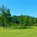 Ilustrasi Lapangan Golf. (foto/net)