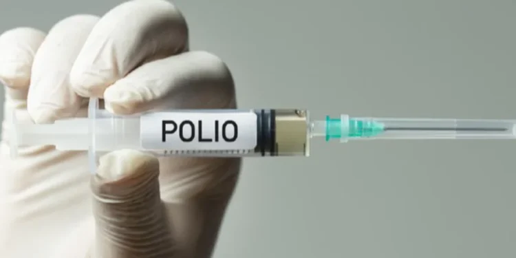 Ilustrasi Vaksin Polio (foto/net)