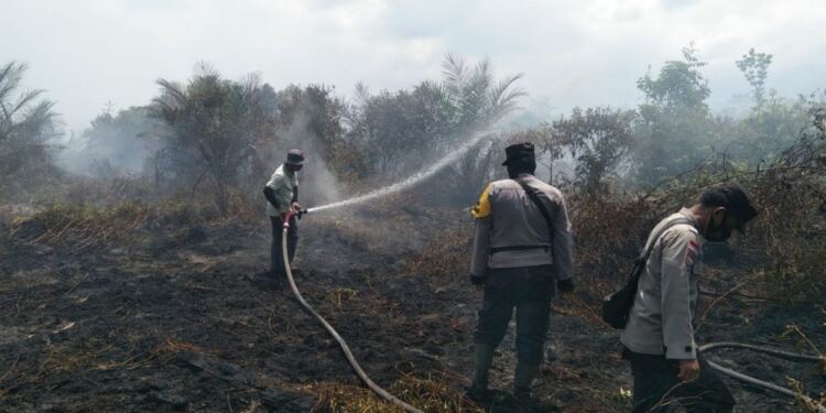 Karhutla Terpantau di 3 Daerah di Riau (foto/net)