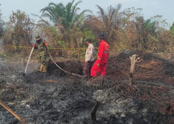 Ilustrasi kebakaran hutan dan lahan. (foto/net)