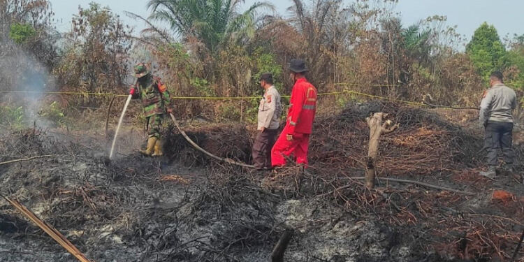 Ilustrasi kebakaran hutan dan lahan. (foto/net)