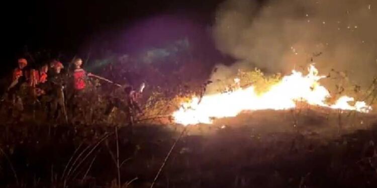 Petugas berupaya memadamkan lahan yang terbakar di Muarojambi. (Foto/Doc)