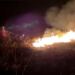 Petugas berupaya memadamkan lahan yang terbakar di Muarojambi. (Foto/Doc)
