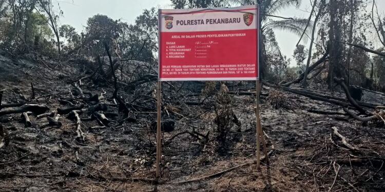 Lahan PT Pertamina Hulu Rokan (foto/net)