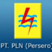 Logo PLN. (foto/net)