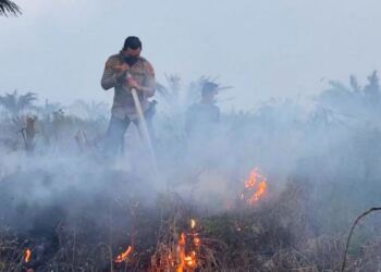 Kebakaran di Desa Pangkalan Gondai, Kecamatan Langgam Kabupaten Pelalawan, Riau (foto/net)