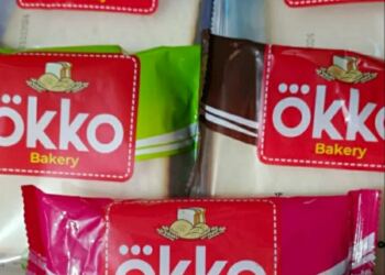 Roto Okko (foto/net)