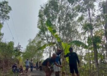 Aksi protes warga dengan menanam pohon pisang lantaran jalan rusak tak kunjung diperbaiki (foto/ist)