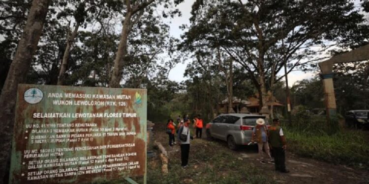 BNPB Bakal Rekolasi 2.209 KK Korban Terdampak Erupsi Lewotobi (foto/doc)