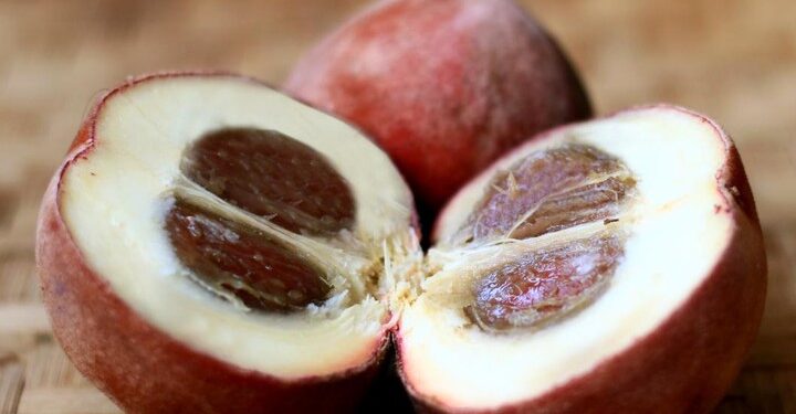 Bisbul, Buah Manis Berbulu yang Mulai Langka dan Terlupakan (foto/net)