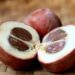 Bisbul, Buah Manis Berbulu yang Mulai Langka dan Terlupakan (foto/net)