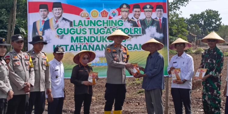 Dukung Ketahanan Pangan Polri, Polsek Bersama Forkopicam Belitang 1 Lakukan Tanam Serentak (foto/Yesi)