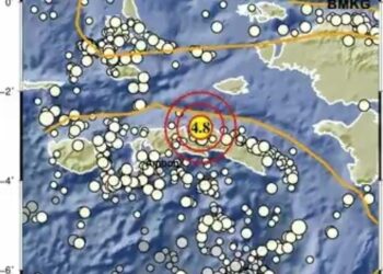 Gempa M4,8 Guncang Maluku Tengah Sore Ini (foto/BMKG)