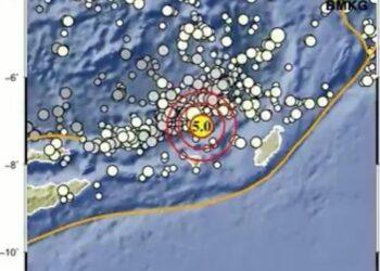 Gempa M5,0 Guncang Kepulauan Tanimbar Pagi Ini (foto/BMKG)