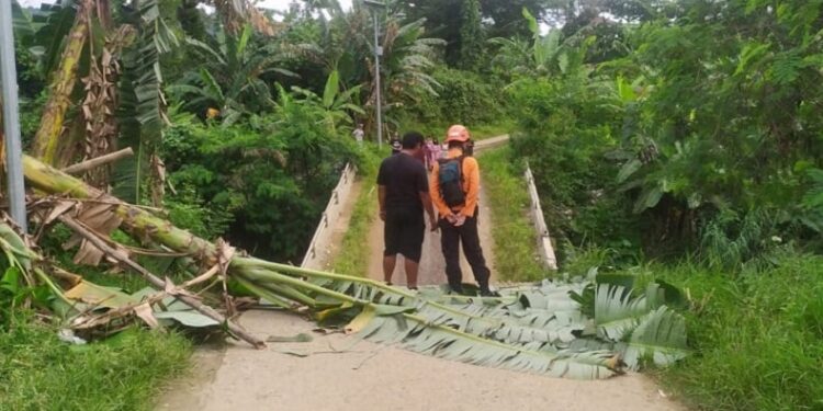 Jembatan Kampung Sela Eurih Babakan Madang Bogor Terputus (foto/ist)