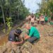 Kelompok Konservasi Gandeng Siswa dan Mahasiswa Bengkalis Lakukan Penanaman Pohon Mangrove (foto/Diskominfo Bengkalis)