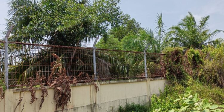 Pertamina Harus Peduli Lingkungan Bersih (foto/Darwis)