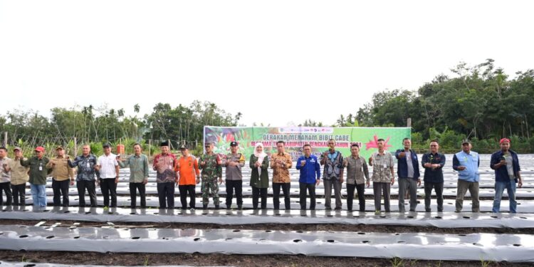 Pjs Bupati Bengkalis Tanam Cabe Bersama guna Manfaatkan Lahan Kosong (foto/Prokopim Bengkalis)