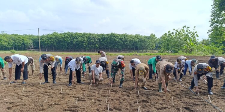 Polsek Belitang II Dukung Program Launching Gugus Tugas Polri Mendukung Ketahanan Pangan di Desa Sumber Jaya (foto/Yesi)