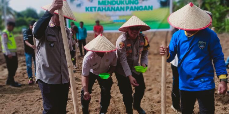 Polsek Belitang III Gelar Launching Gugus Tugas Polri Mendukung Ketahanan Pangan Nasional (foto/Yesi)