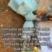 Postingan curhatan wanita yang kesal lantaran calon suami yang mengkhianatinya (foto/TikTok)