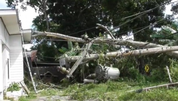 Sebuah tiang listrik yang patah akibat pohon tumbang (foto/ist)