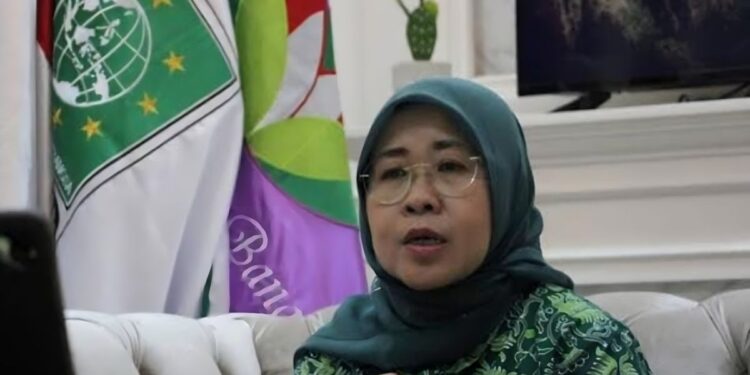 Anggota Komisi VII DPR RI Siti Mukaromah (foto/doc)