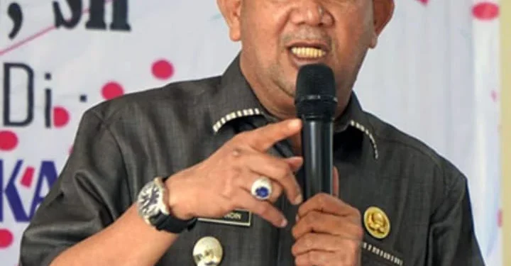Bupati Langkat terpilih, Syah Afandin alias Ondim. (foto/doc)
