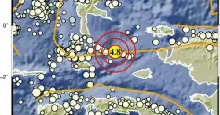 Gempa Dangkal M4,8 Guncang Halmahera Barat Siang Ini (foto/BMKG)