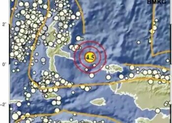 Gempa M4,5 Guncang Raja Ampat Siang Ini (foto/BMKG)