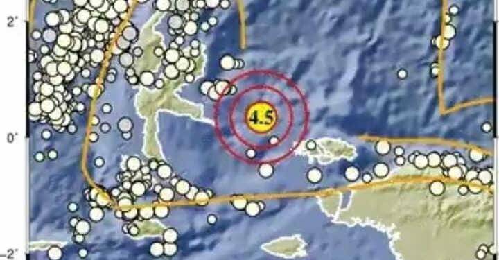 Gempa M4,5 Guncang Raja Ampat Siang Ini (foto/BMKG)